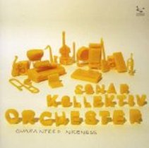 guaranteed niceness / Sonar Kollektiv Orchester